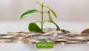 Hurtig lån