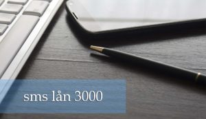 sms lån 3000